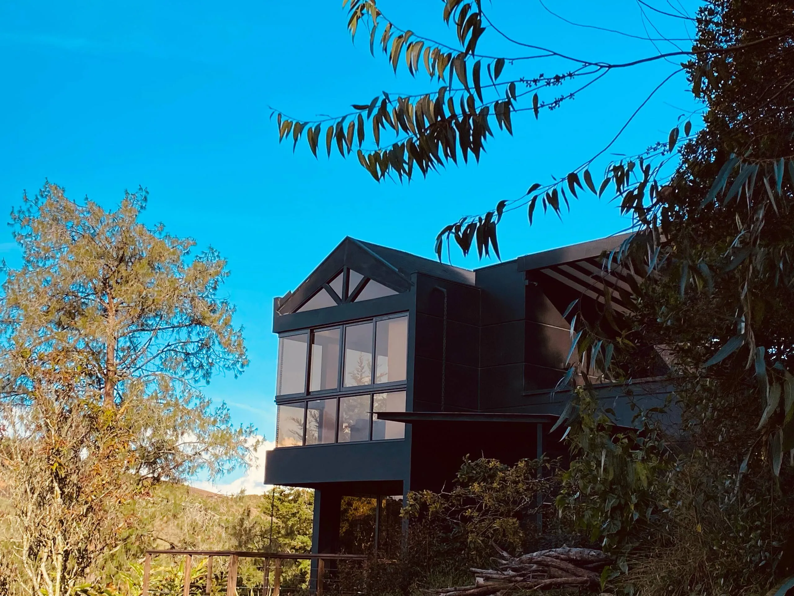 A Magnolios design cabin, architect-built black timber, set among the trees