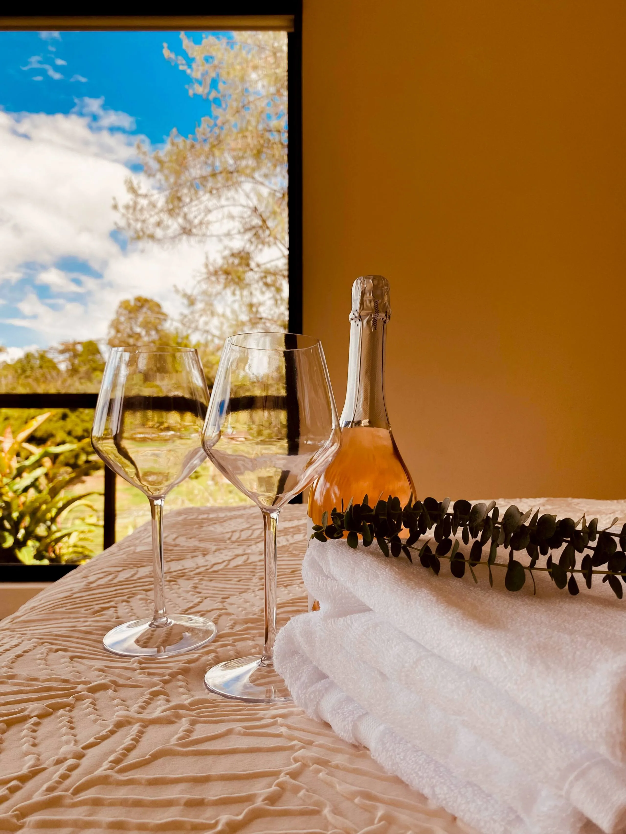 Two glasses at golden hour on the terrace